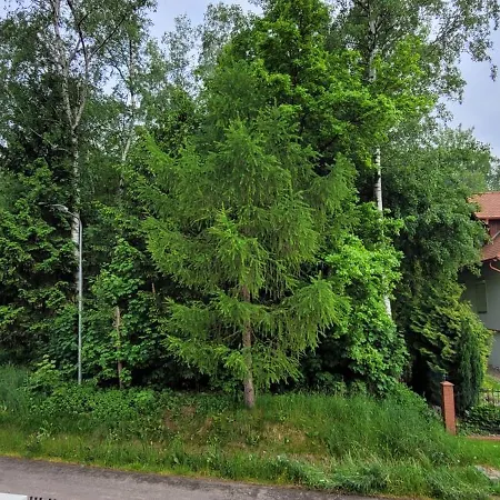 Apartament Zielona Przystań